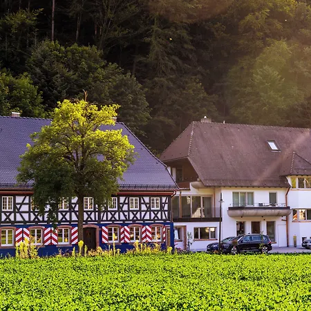 Schlossmuehle - Lean Luxury Boutique 4* 그로테르탈